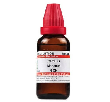 https://cdn.shopify.com/s/files/1/1857/6931/products/plyKMQPu37.jpg?v=1641299428
